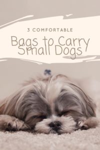 Bags to Carry Small Dogs