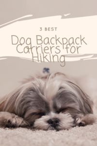 Best Dog Backpack Carrier for Hiking