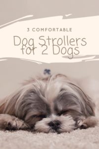 Dog Stroller for 2 Dogs