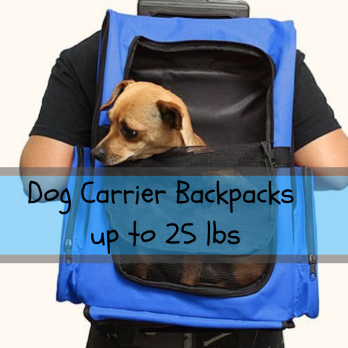 dog carrier for 25 lb dog