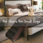 Pet Stairs for Small Dogs