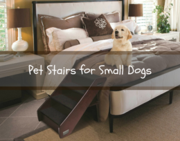 Pet Stairs for Small Dogs