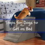 Steps for Dogs to Get on Bed