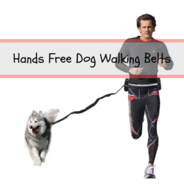 Hands Free Dog Walking Belt