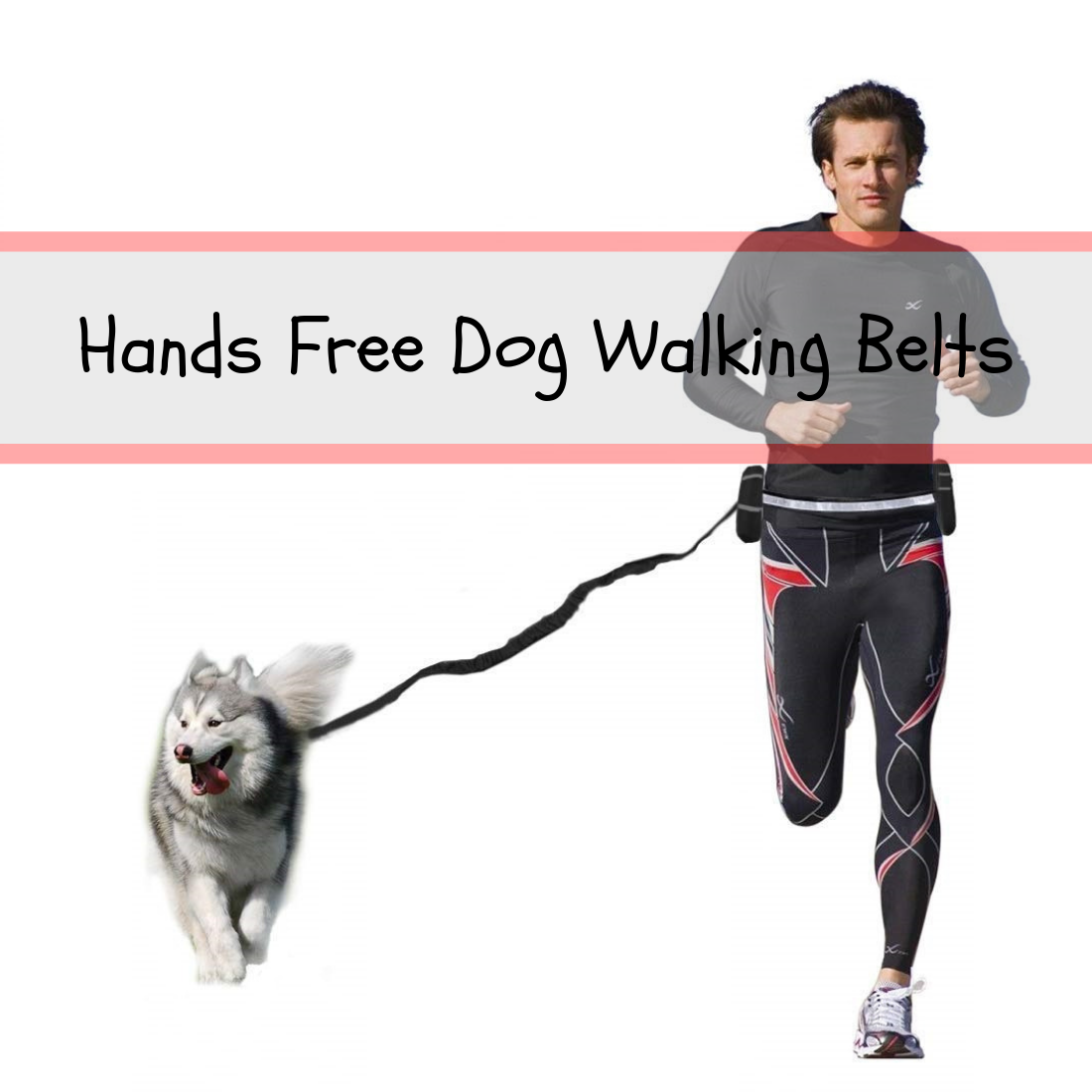 Hands Free Dog Walking Belt 