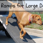Pet Ramps for Large Dogs