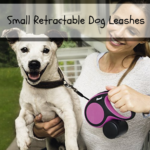 Small Retractable Dog Leash